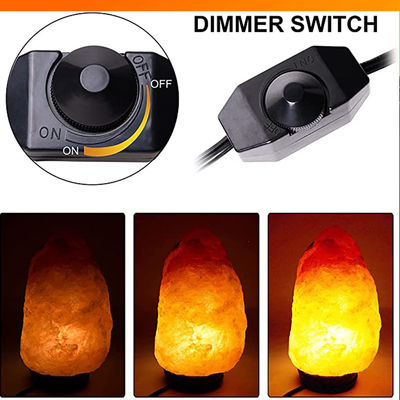 Vervangende lamp met inline schakelaar dimmer us 2 prong ac usa power cord