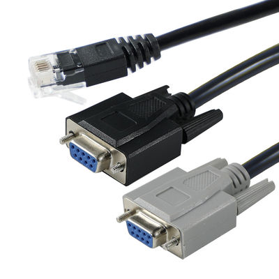 RJ45 naar Dubbele DB9 Mannelijke Seriële Converterkabel voor Console Servers