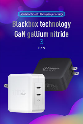 US Plug 100W Dual USB-C Wall Charger 2 poort snelladaptore voor laptop, tablet, telefoon, type-C apparaten (100240V input)